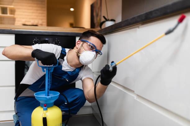 Best Cockroach Control Services  in Zebulon, GA