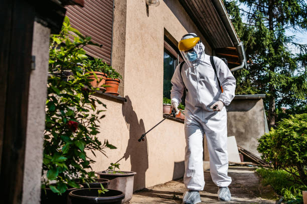 Best Affordable Pest Control Services  in Zebulon, GA