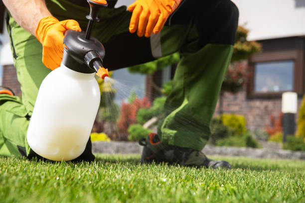 Best Insect Control  in Zebulon, GA