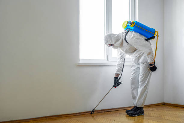 Pest Control for Restaurants in Zebulon, GA