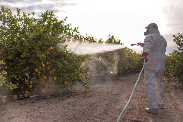 Best Residential Pest Control  in Zebulon, GA