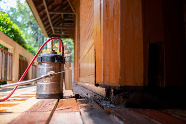 Best Wasp Removal Services  in Zebulon, GA