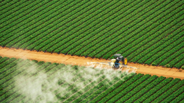 Best Pest Control Near Me  in Zebulon, GA