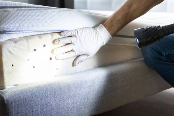 Best Pest Inspection Near Me  in Zebulon, GA