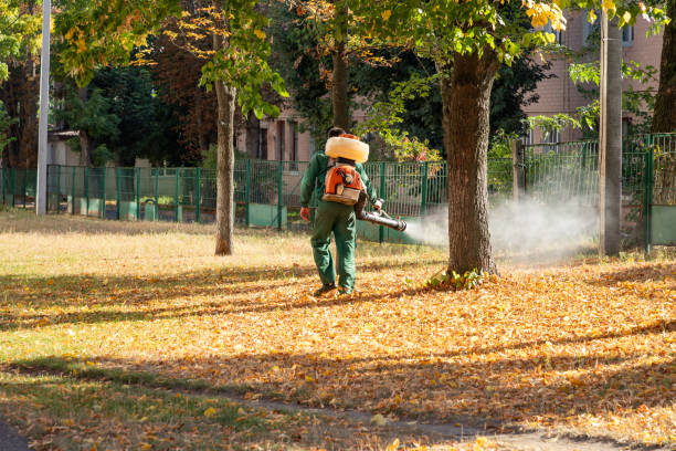 Best Pest Inspection Near Me  in Zebulon, GA