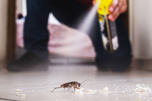 Best Pest Prevention Services  in Zebulon, GA
